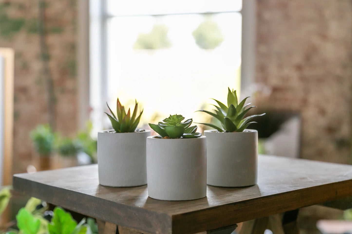 Mainstays 3-Piece Succulent Set in Gray Cement Planters