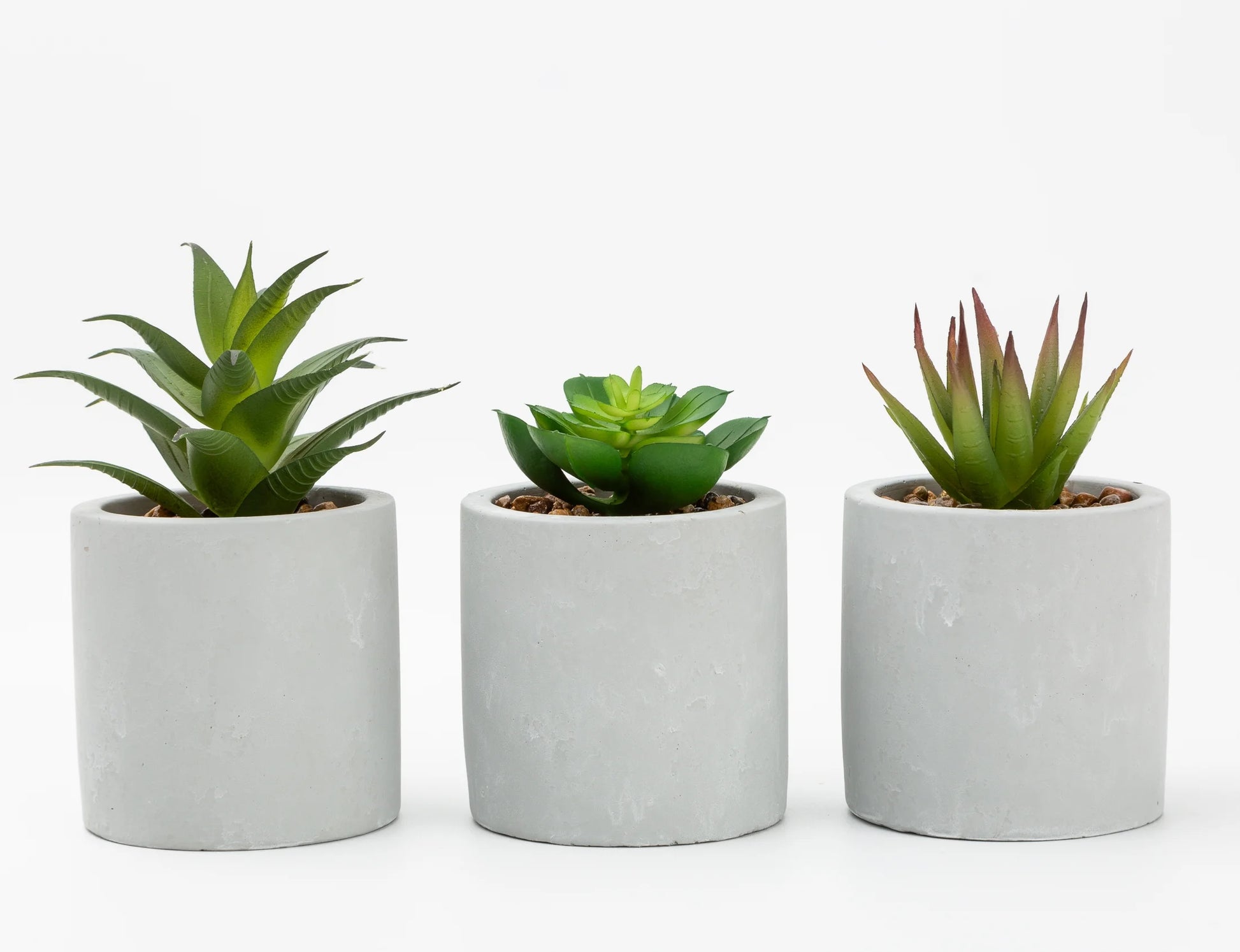 Mainstays 3-Piece Succulent Set in Gray Cement Planters