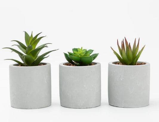 Mainstays 3-Piece Succulent Set in Gray Cement Planters