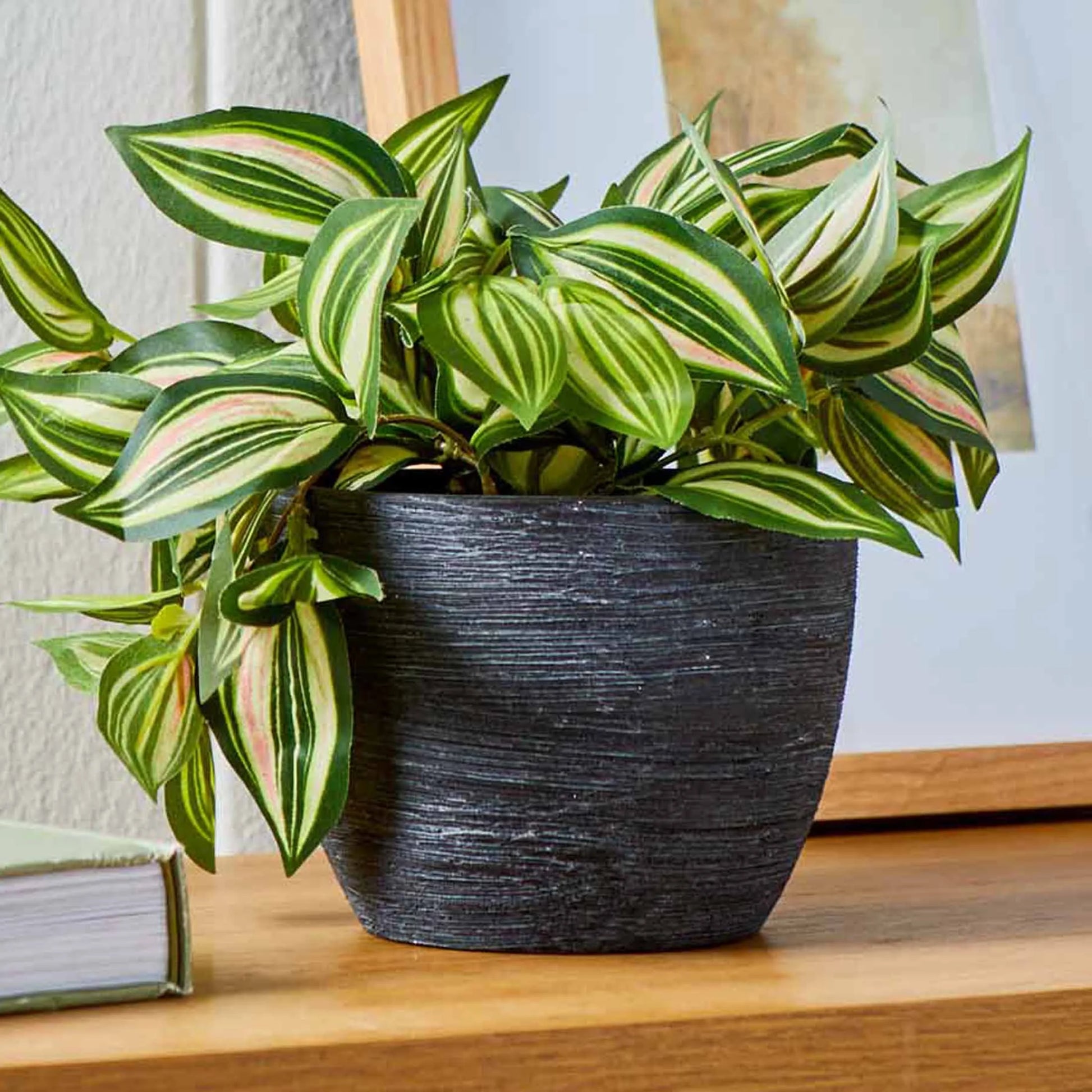 matte black pot plant 4.5" Textured Matte Ceramic Pot, Black, 1