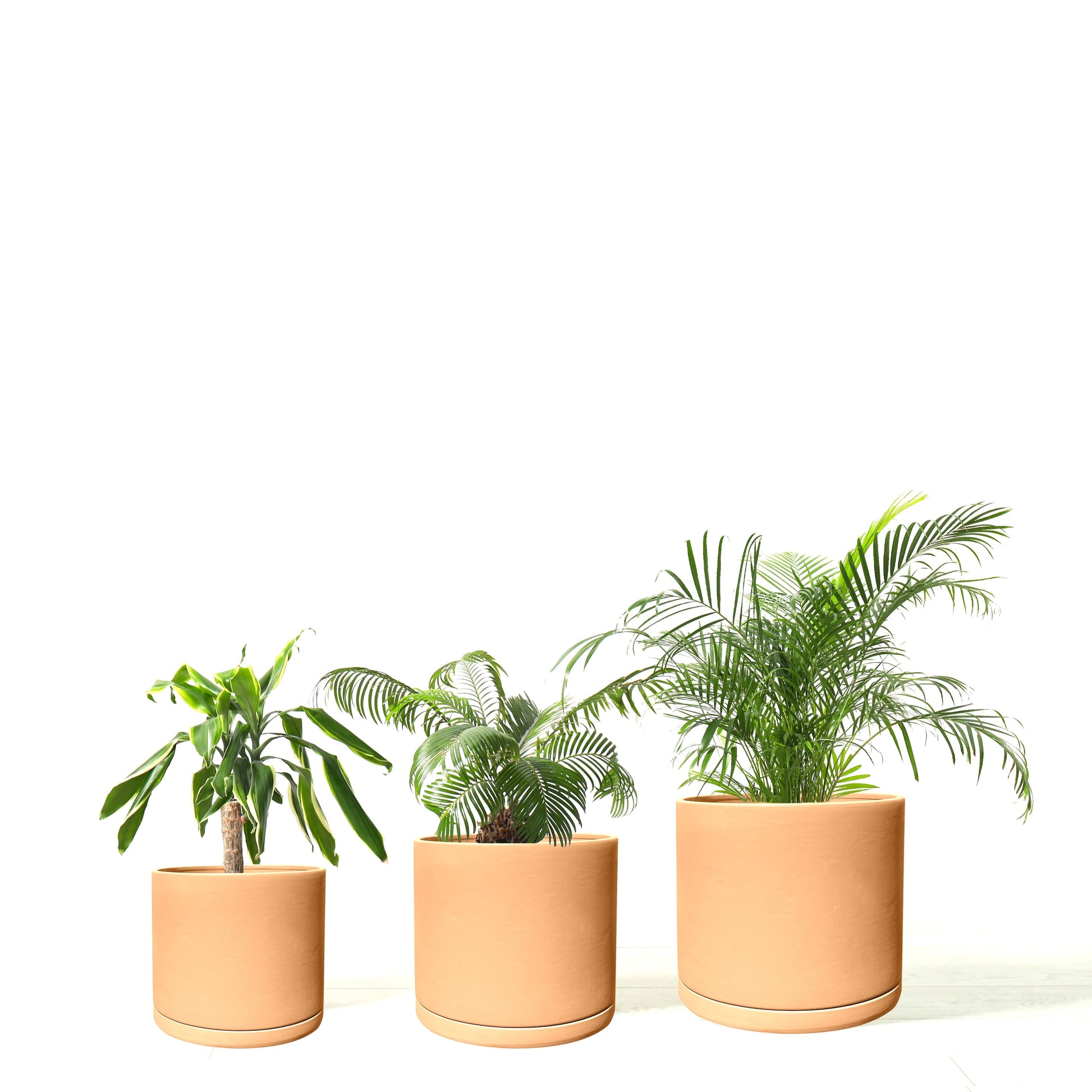 Rome Terracotta Plant Pots Garden Planters Set 3 Indoor Outdoor Ceramic Plant Pots with Saucers