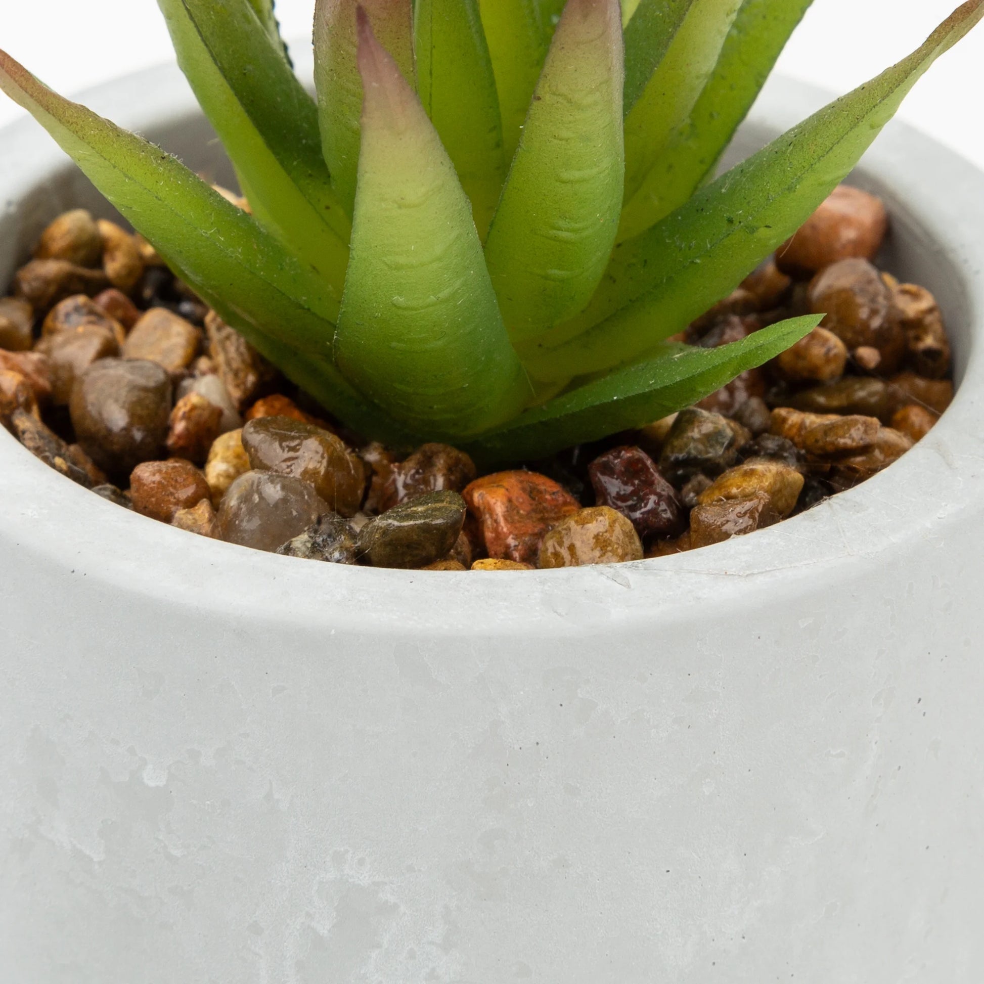 Mainstays 3-Piece Succulent Set in Gray Cement Planters