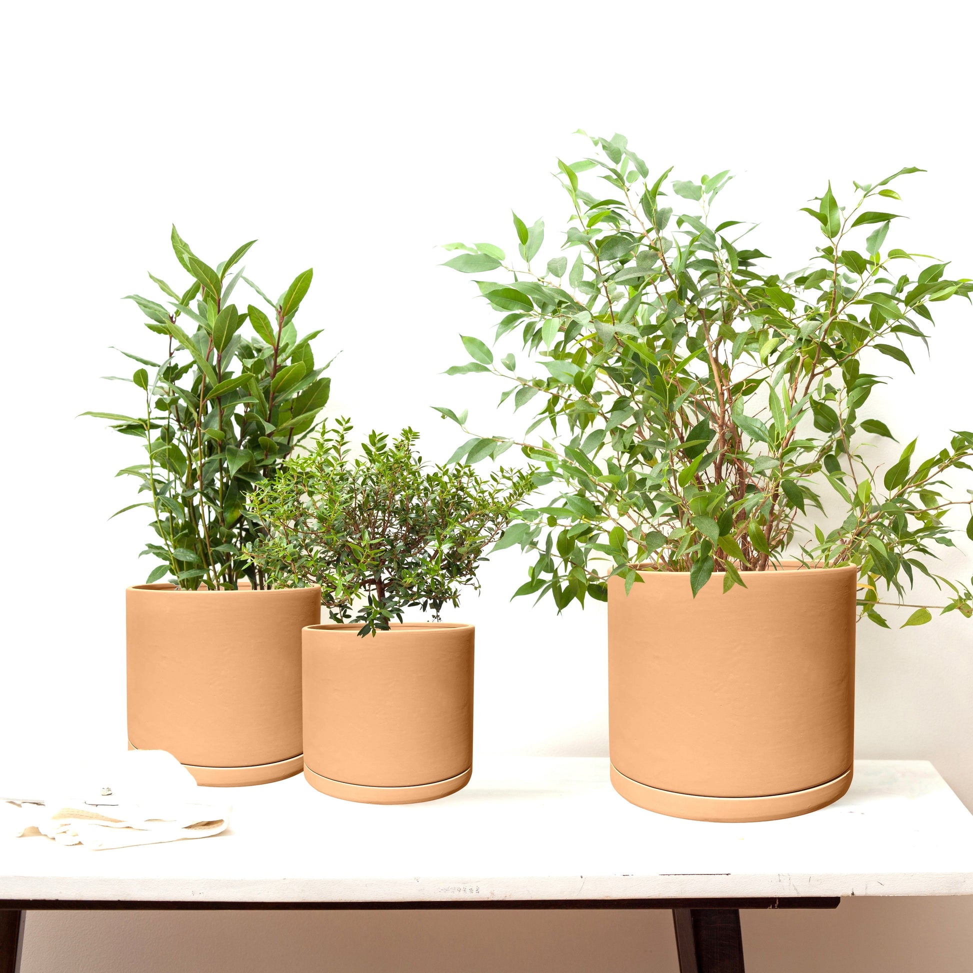 Rome Terracotta Plant Pots Garden Planters Set 3 Indoor Outdoor Ceramic Plant Pots with Saucers