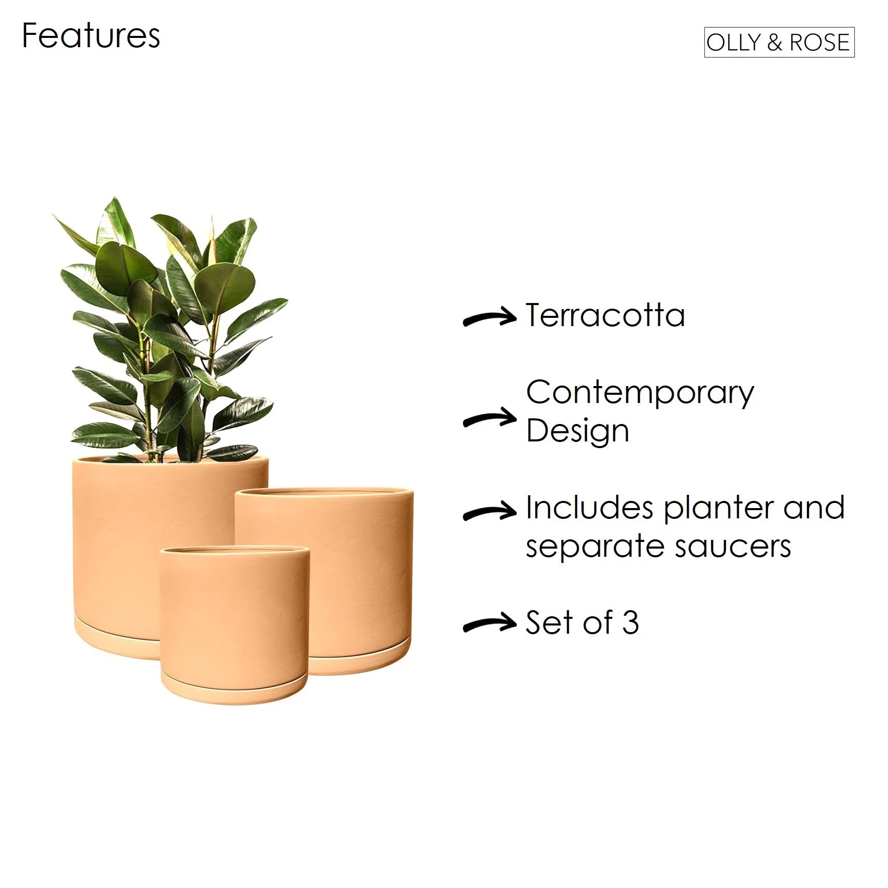 Rome Terracotta Plant Pots Garden Planters Set 3 Indoor Outdoor Ceramic Plant Pots with Saucers
