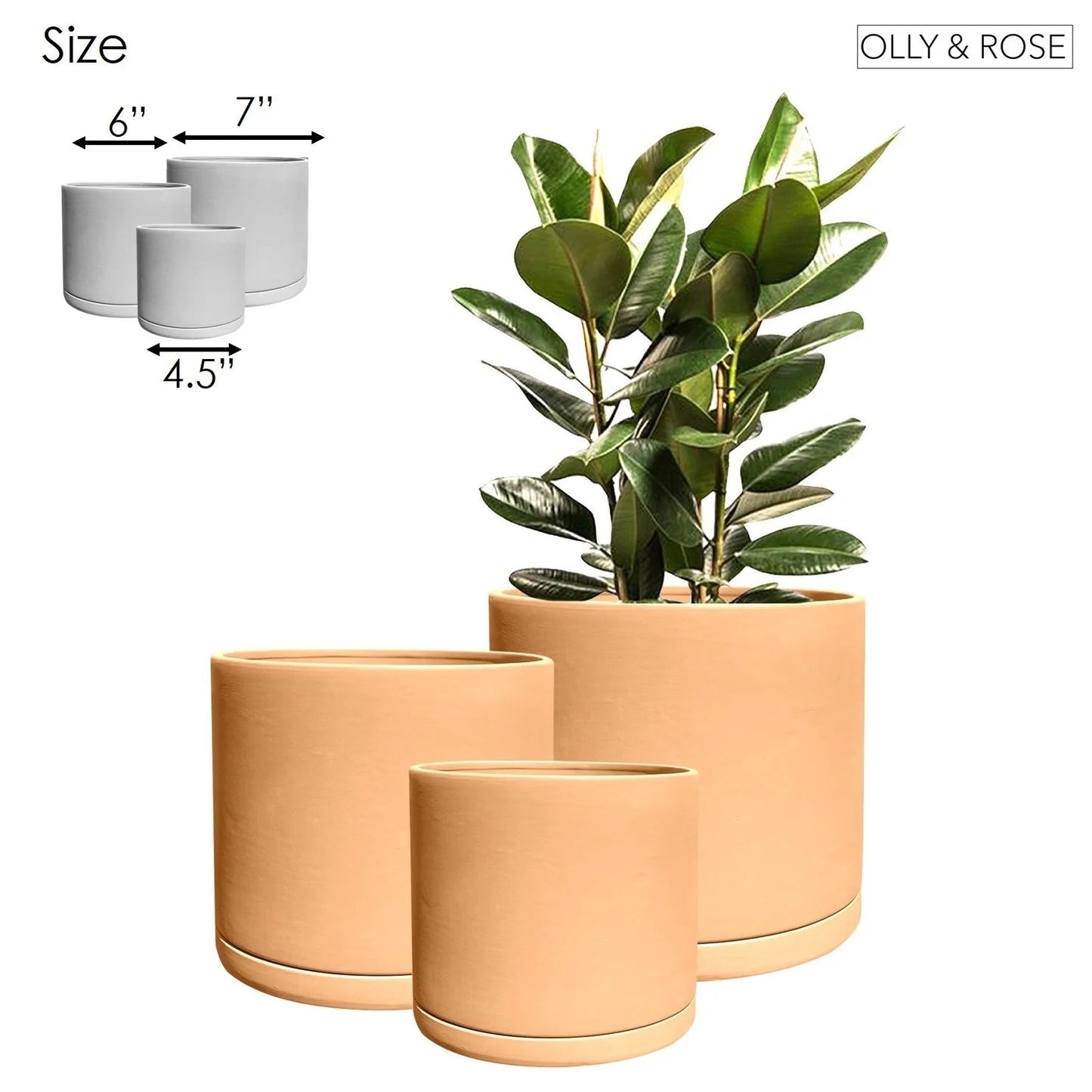 Rome Terracotta Plant Pots Garden Planters Set 3 Indoor Outdoor Ceramic Plant Pots with Saucers
