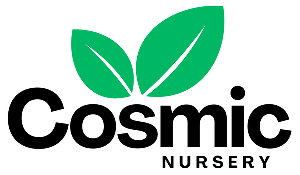 Cosmic Nursery